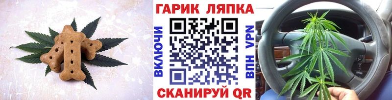 сайты даркнета состав  Новоаннинский  omg сайт  Canna-Cookies конопля  как найти наркотики 
