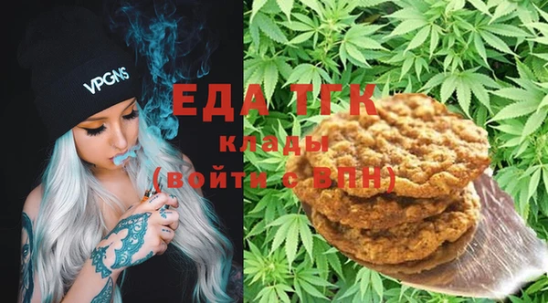 индика Абаза