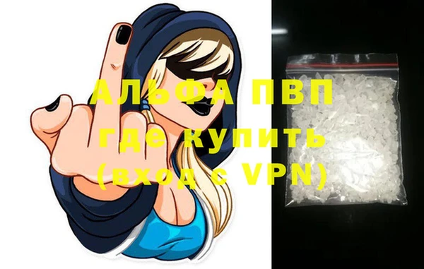 индика Абаза