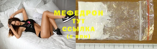 индика Абаза