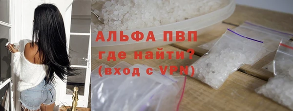 индика Абаза