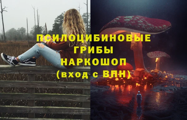 индика Абаза