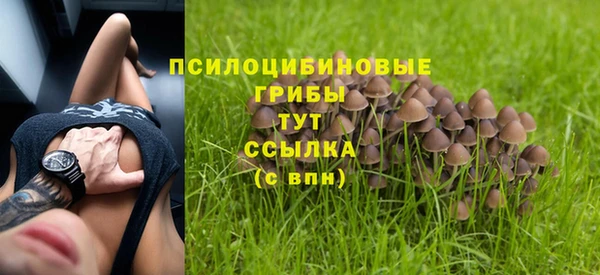 индика Абаза