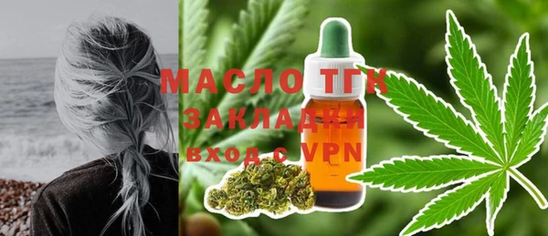 индика Абаза