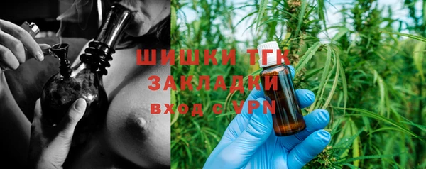 индика Абаза