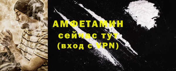 индика Абаза