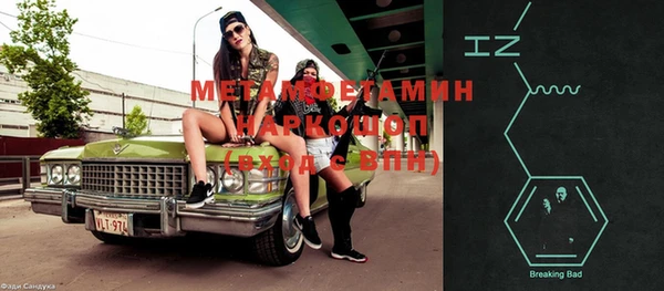 индика Абаза