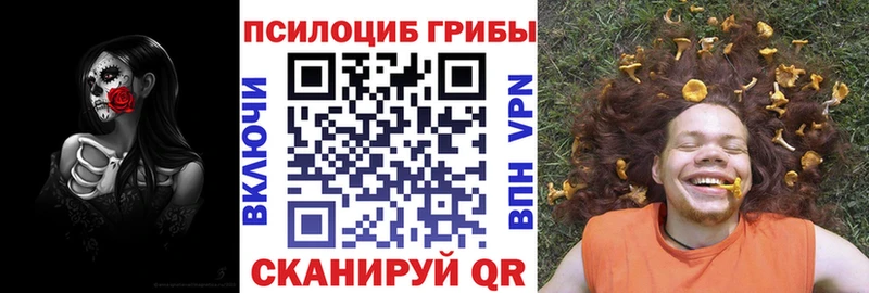 Псилоцибиновые грибы Psilocybine cubensis Новоаннинский