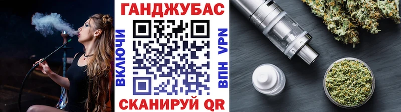 Каннабис план Новоаннинский
